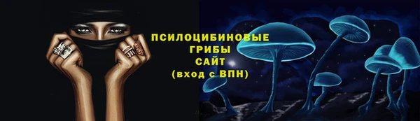 СК Гатчина