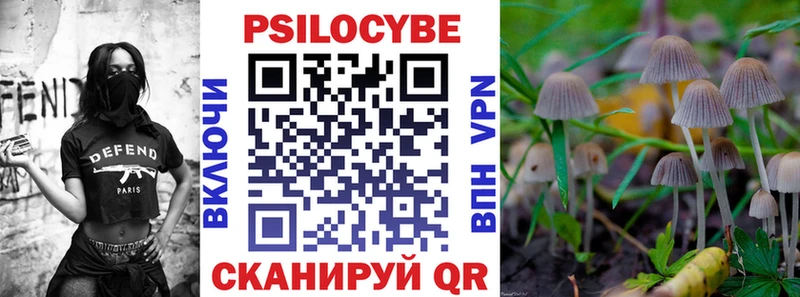 блэк спрут ссылки  Зеленодольск  Галлюциногенные грибы Cubensis 