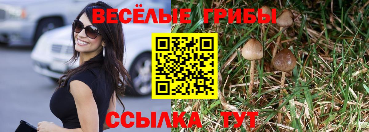 Псилоцибиновые грибы ЛСД  Галлюциногенные грибы Psilocybe  Зеленодольск 